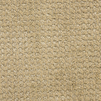 Masland Carpets Alpha Electrode Masland