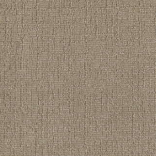 Dreamweaver Carpet Natural Attraction Regal DREAMWEAVER