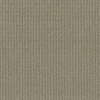Dreamweaver Carpet Perfect Balance Regal DREAMWEAVER