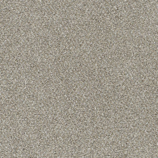 Dreamweaver Carpet Lucky Penny III Flaxen DREAMWEAVER