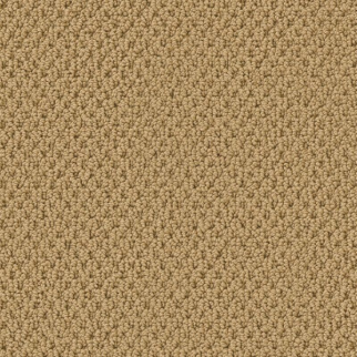Tuftex Gracious Summer SHAW