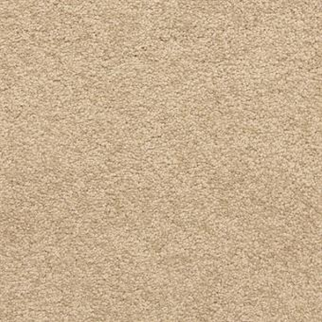 Masland Carpets Knockout Antelope Masland