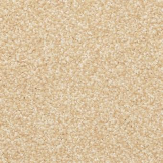 Masland Carpets Beacon Hill Biscotti Masland