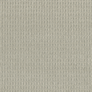 Dreamweaver Carpet Perfect Balance Tranquil DREAMWEAVER