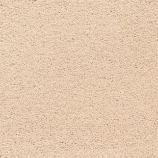 Masland Carpets Ravishing Beaming Masland