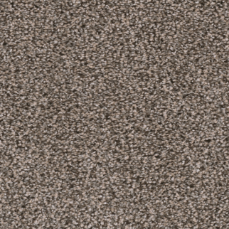 Dreamweaver Carpet Reflections I Twig DREAMWEAVER