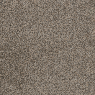Dreamweaver Carpet Trendsetter II Twig DREAMWEAVER