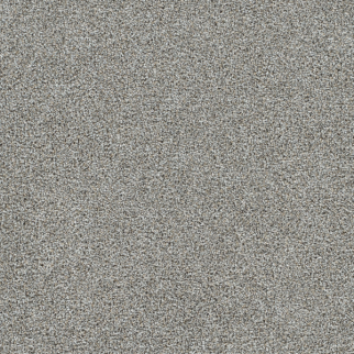 Dreamweaver Carpet Gold Standard II Chrome DREAMWEAVER