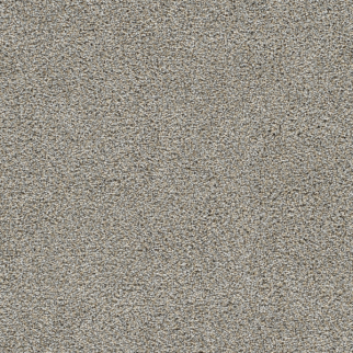 Dreamweaver Carpet Gold Standard III Sterling DREAMWEAVER
