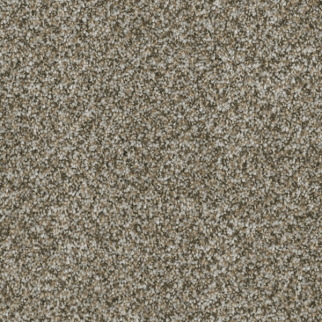 Dreamweaver Carpet Brazen I Moonshine DREAMWEAVER
