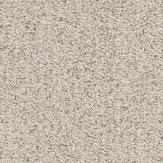 Masland Carpets St Augustine True Masland