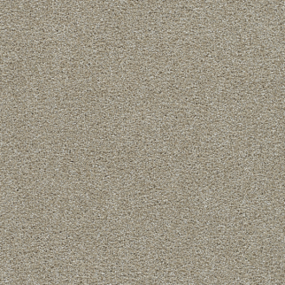 Dreamweaver Carpet Clearwater I Wonder DREAMWEAVER