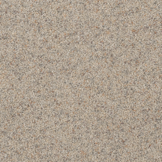Dreamweaver Carpet Astounding I Fine Details DREAMWEAVER