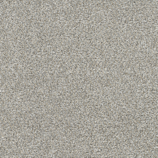 Dreamweaver Carpet Gold Standard III Glitter DREAMWEAVER