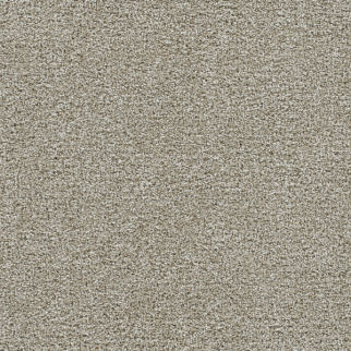 Dreamweaver Carpet Gold Standard I Alloy DREAMWEAVER