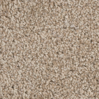 Dreamweaver Carpet West Brow Rusty Opal DREAMWEAVER