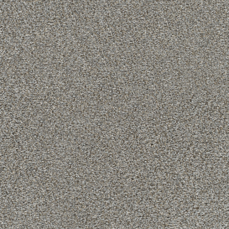 Dreamweaver Carpet Gold Standard II Metallic DREAMWEAVER