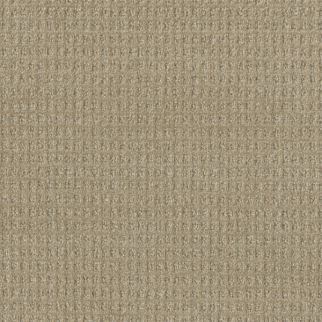 Dreamweaver Carpet Perfect Balance Papaya DREAMWEAVER