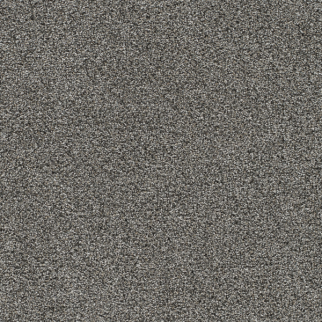 Dreamweaver Carpet Gold Standard II Benchmark DREAMWEAVER