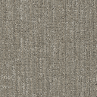 DW Select Carpet Century II Mexicali DREAMWEAVER