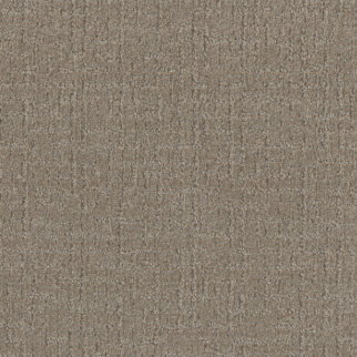 Dreamweaver Carpet Natural Attraction Warm Putty DREAMWEAVER