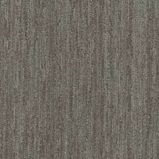 DW Select Carpet Baja Mesquite DREAMWEAVER