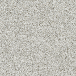Dreamweaver Carpet Silver Lining IV Arcus DREAMWEAVER