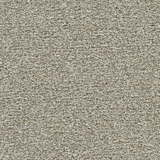 Dreamweaver Carpet Breakview I Gingerbread DREAMWEAVER
