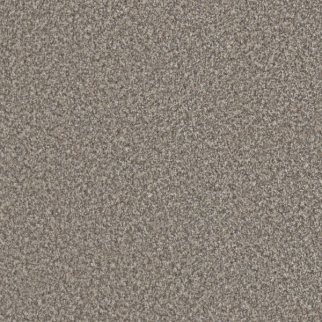 Dreamweaver Carpet Out of This World II Meteor DREAMWEAVER