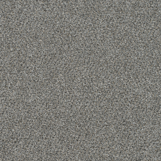 Dreamweaver Carpet Gold Standard II Reserve DREAMWEAVER