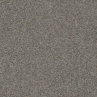 Dreamweaver Carpet Gold Standard II Topaz DREAMWEAVER
