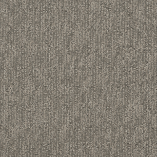 Dreamweaver Carpet Finishing Touch City View DREAMWEAVER