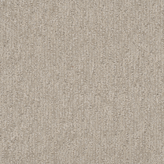 Dreamweaver Carpet Finishing Touch Cosmo DREAMWEAVER
