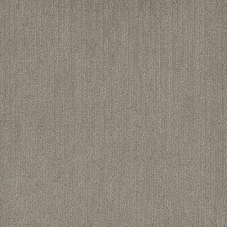 Dreamweaver Carpet Smooth Sailing Greige DREAMWEAVER