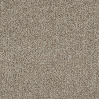 Dreamweaver Carpet Finishing Touch Old Soul DREAMWEAVER