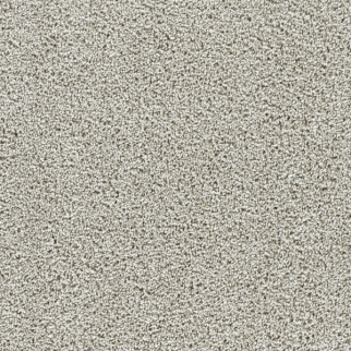 Dreamweaver Carpet Captivating I August Grove DREAMWEAVER