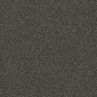 Dreamweaver Carpet Gold Standard III Onyx DREAMWEAVER