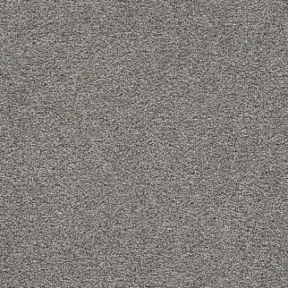 Dreamweaver Carpet Gold Standard I Platinum DREAMWEAVER