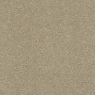Dreamweaver Carpet Clearwater I Sunflower DREAMWEAVER