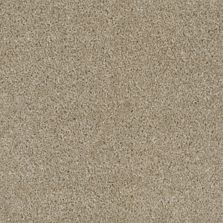 Dreamweaver Carpet Yellowstone Outback DREAMWEAVER