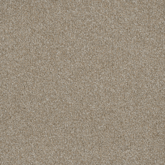 Dreamweaver Carpet Luxor I Outback DREAMWEAVER