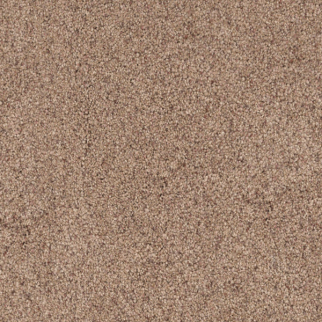 Dixie Home Great Dane Bark
