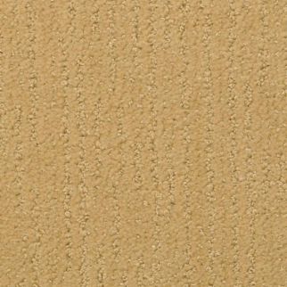 Masland Carpets Nature's Essence Burly Masland