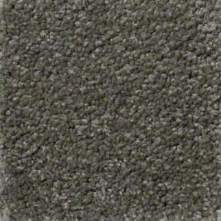 Shaw Floors Ultimate Expression 15' Alpine Fern SHAW