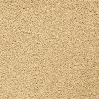 Masland Carpets Ravishing Gorgeous Masland