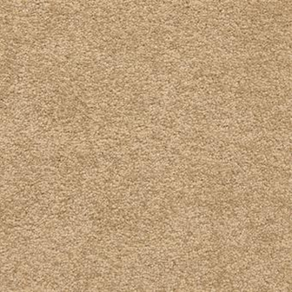 Masland Carpets Knockout Jamestown Masland