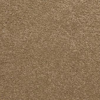 Masland Carpets Knockout Almond Masland