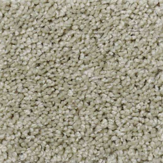 Shaw Floors Origins Haven SHAW