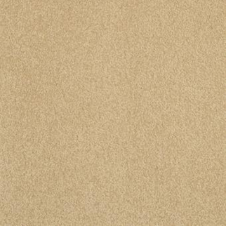 Masland Carpets Americana Cliffrose Masland