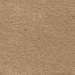 Masland Carpets Ravishing Inviting Masland